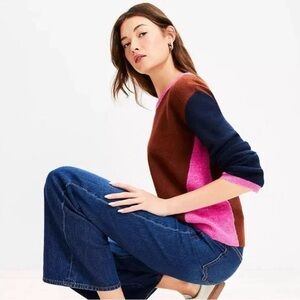 LOFT Women's Colorblock Sweater - Brown, Pink, and Navy